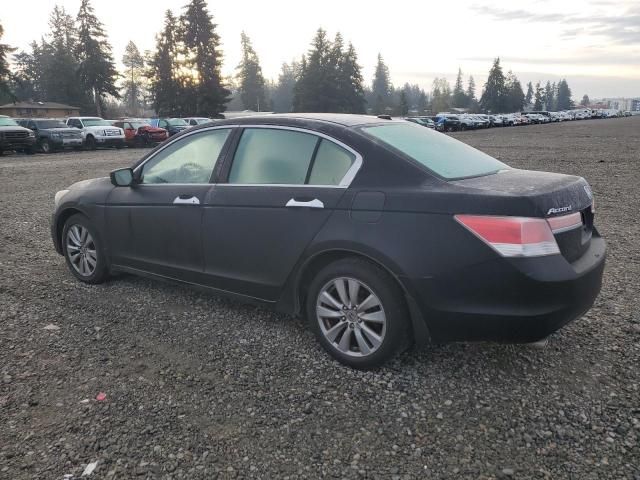 2011 Honda Accord EXL