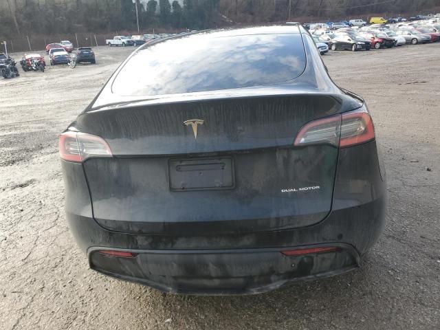 2020 Tesla Model Y