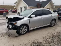 Salvage cars for sale at Northfield, OH auction: 2010 Toyota Corolla Base