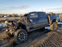 Salvage Cars with No Bids Yet For Sale at auction: 2021 Toyota Tacoma Double Cab