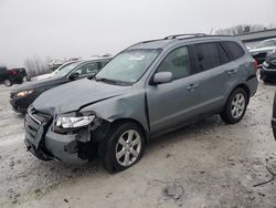 Salvage cars for sale at Wayland, MI auction: 2007 Hyundai Santa FE SE