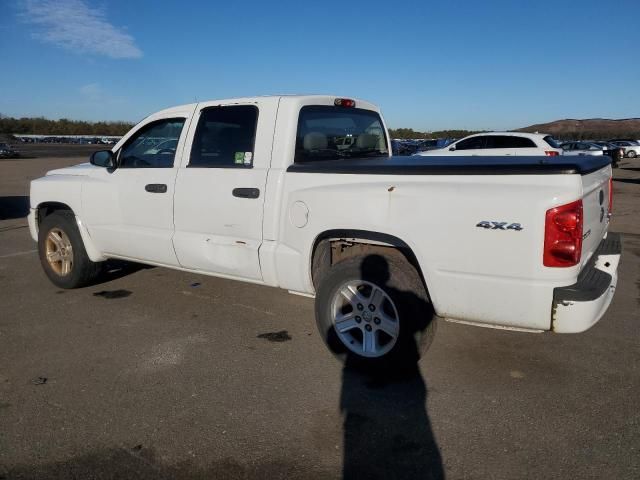 2011 Dodge Dakota SLT