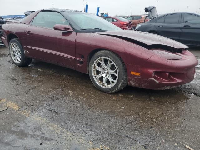 2001 Pontiac Firebird