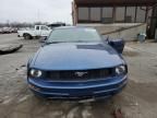 2006 Ford Mustang