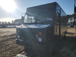 Salvage trucks for sale at Brookhaven, NY auction: 2009 Freightliner Chassis M Line WALK-IN Van