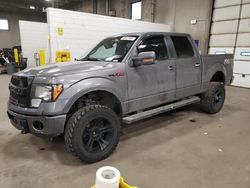 2013 Ford F150 Supercrew en venta en Ham Lake, MN