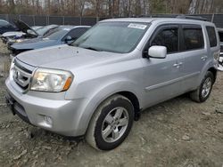 Honda salvage cars for sale: 2010 Honda Pilot EXL