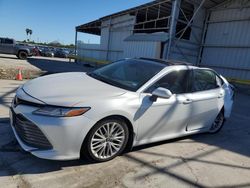 Salvage cars for sale at Corpus Christi, TX auction: 2020 Toyota Camry XLE