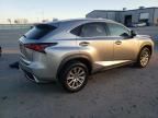 2021 Lexus NX 300H Base