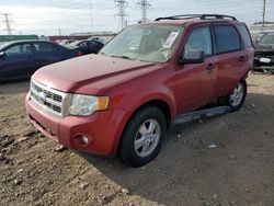 Salvage cars for sale at auction: 2009 Ford Escape XLT