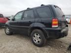 2005 Ford Escape Limited