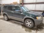 2001 Ford Escape XLT