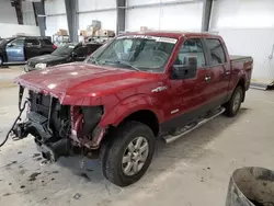 Salvage cars for sale at Greenwood, NE auction: 2013 Ford F150 Supercrew