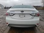 2013 Hyundai Sonata Hybrid