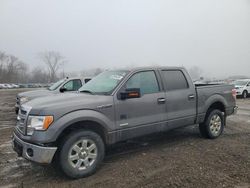 Ford salvage cars for sale: 2013 Ford F150 Supercrew