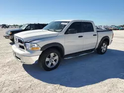 Salvage cars for sale at Arcadia, FL auction: 2009 Dodge RAM 1500