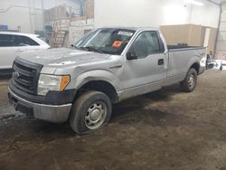 2013 Ford F150 en venta en Ham Lake, MN