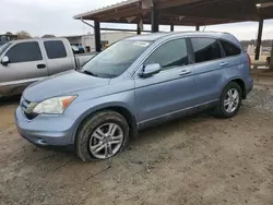 Salvage cars for sale at Tanner, AL auction: 2010 Honda CR-V EXL