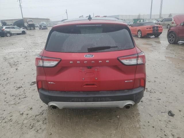 2021 Ford Escape SEL