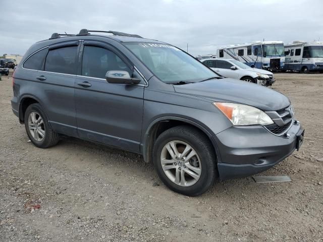 2010 Honda CR-V EXL