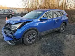 Salvage cars for sale at Arlington, WA auction: 2020 Honda CR-V EX