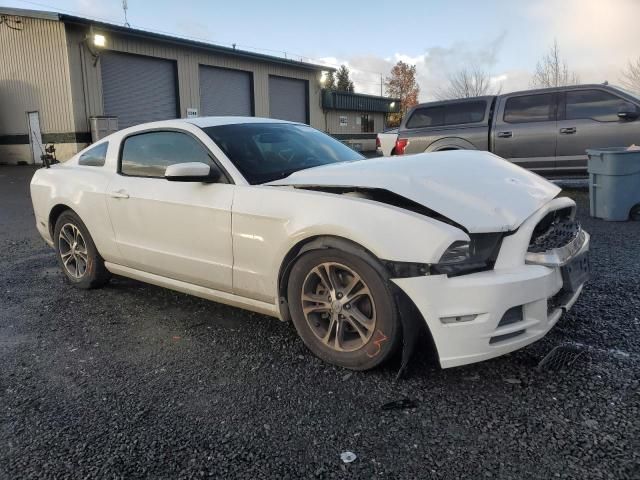 2013 Ford Mustang