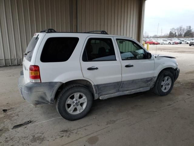 2006 Ford Escape XLT