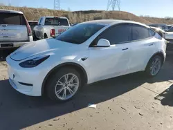 2024 Tesla Model Y en venta en Littleton, CO