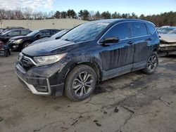 Salvage cars for sale at Exeter, RI auction: 2020 Honda CR-V EX