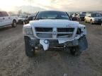 2010 Dodge Dakota SXT