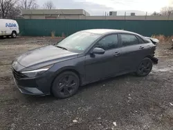 Salvage cars for sale at Baltimore, MD auction: 2023 Hyundai Elantra SEL