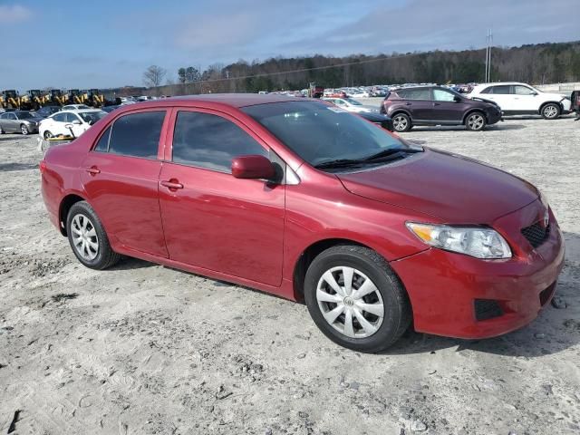 2010 Toyota Corolla Base