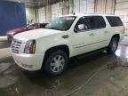 2007 Cadillac Escalade ESV