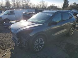 Ford Escape Vehiculos salvage en venta: 2020 Ford Escape SE Sport