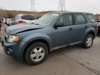 2010 Ford Escape XLS