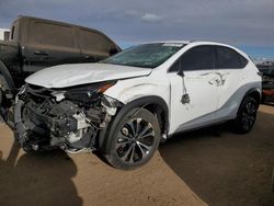 2021 Lexus NX 300 Base en venta en Brighton, CO