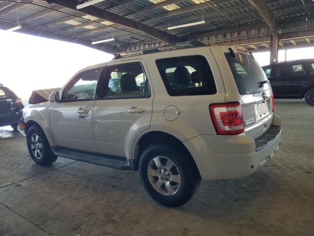 2010 Ford Escape Limited