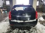 2011 Cadillac SRX Performance Collection