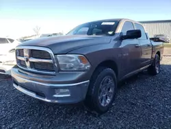 Dodge Vehiculos salvage en venta: 2009 Dodge RAM 1500