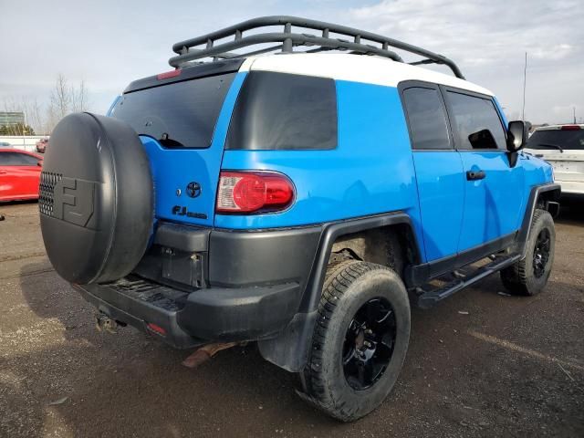 2007 Toyota FJ Cruiser