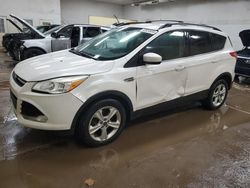 Vehiculos salvage en venta de Copart Davison, MI: 2013 Ford Escape SE