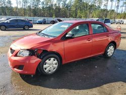 Vehiculos salvage en venta de Copart Harleyville, SC: 2010 Toyota Corolla Base