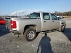 2007 Chevrolet Silverado C1500 Crew Cab