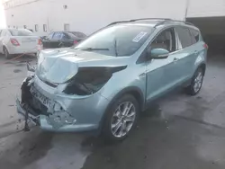 Salvage cars for sale at Farr West, UT auction: 2013 Ford Escape SEL