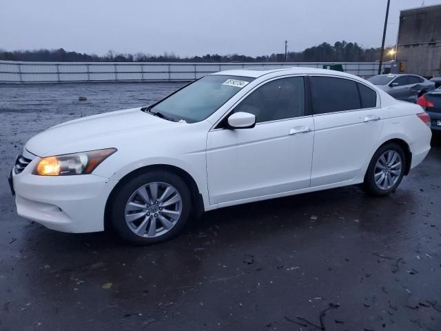 2011 Honda Accord EXL