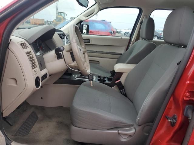 2011 Ford Escape XLS