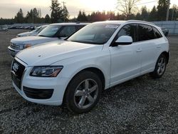 Audi q5 salvage cars for sale: 2009 Audi Q5 3.2