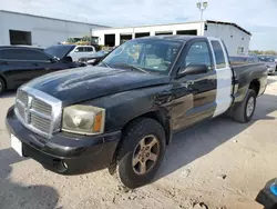 Dodge Dakota salvage cars for sale: 2005 Dodge Dakota SLT