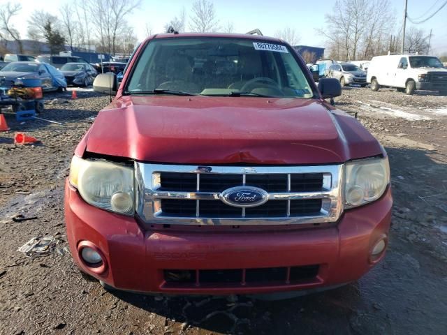 2008 Ford Escape XLT