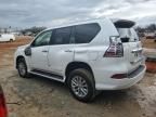 2014 Lexus GX 460